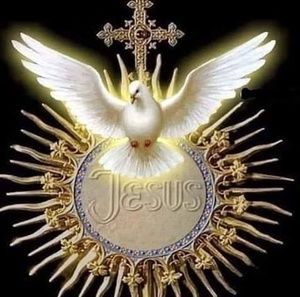 Meet your Posher, Liz